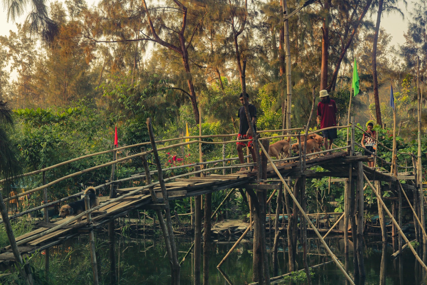 Riverback Sanctuary
