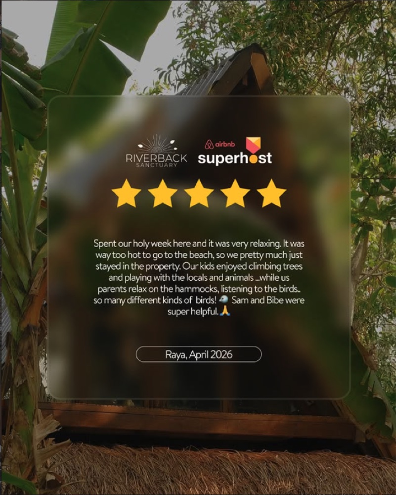 Guest review