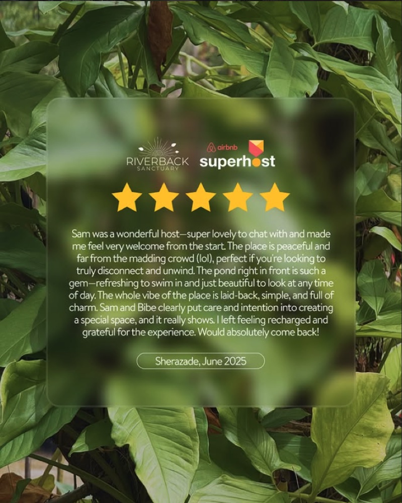 Guest review